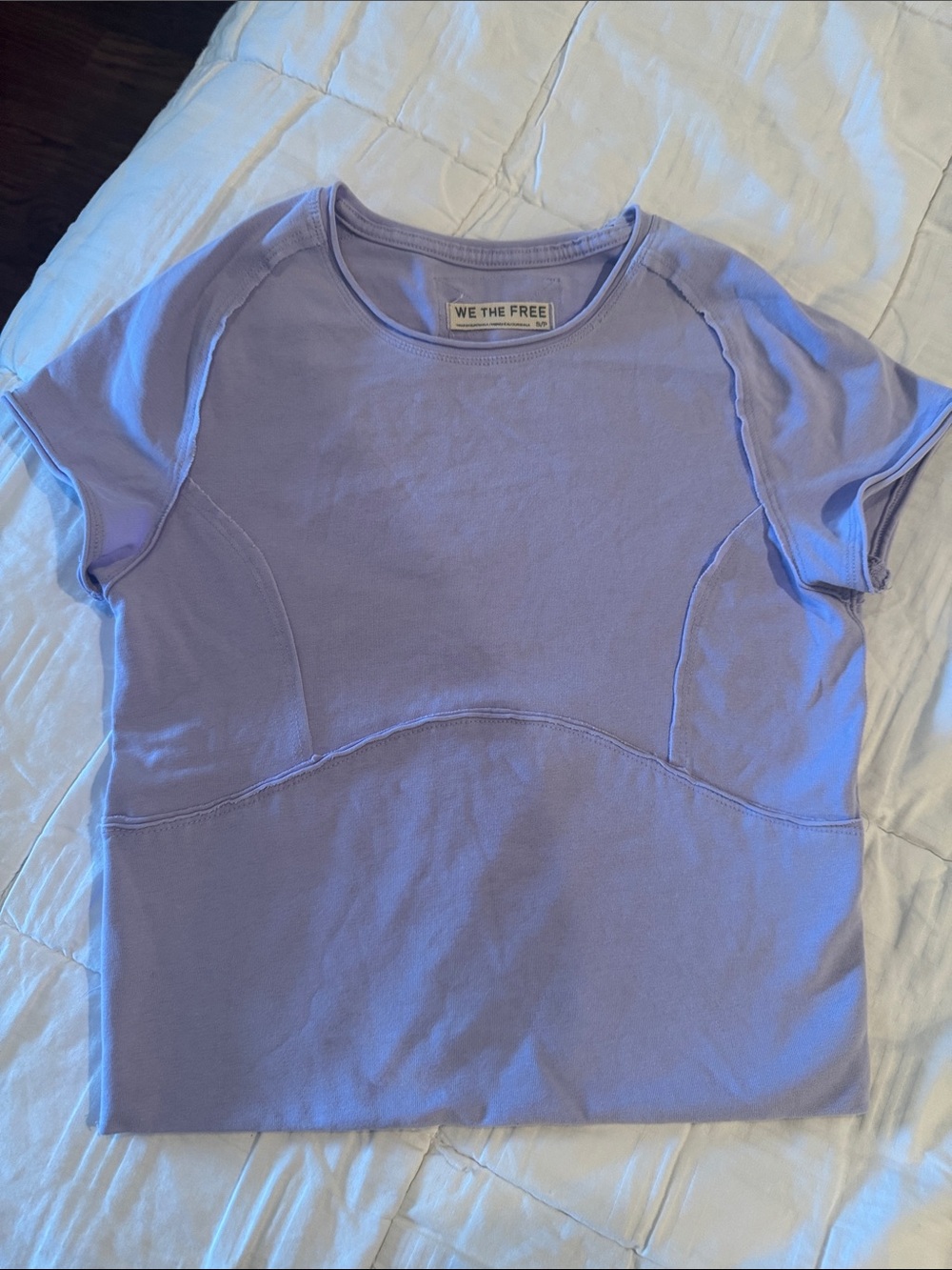 💜 Small We The Free Lavender Short Sleeve Protagonist Tee Free People